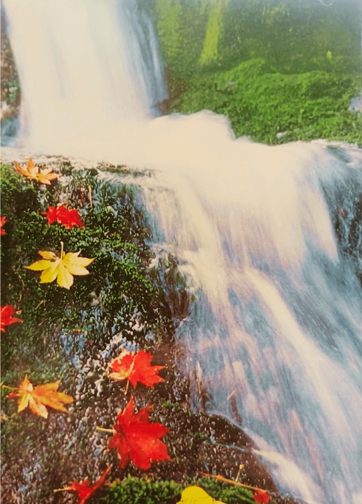 ਸ਼ਾਹ ਸਤਨਾਮ ਜੀ ਸੰਦੇਸ਼ ਭਾਗ-4